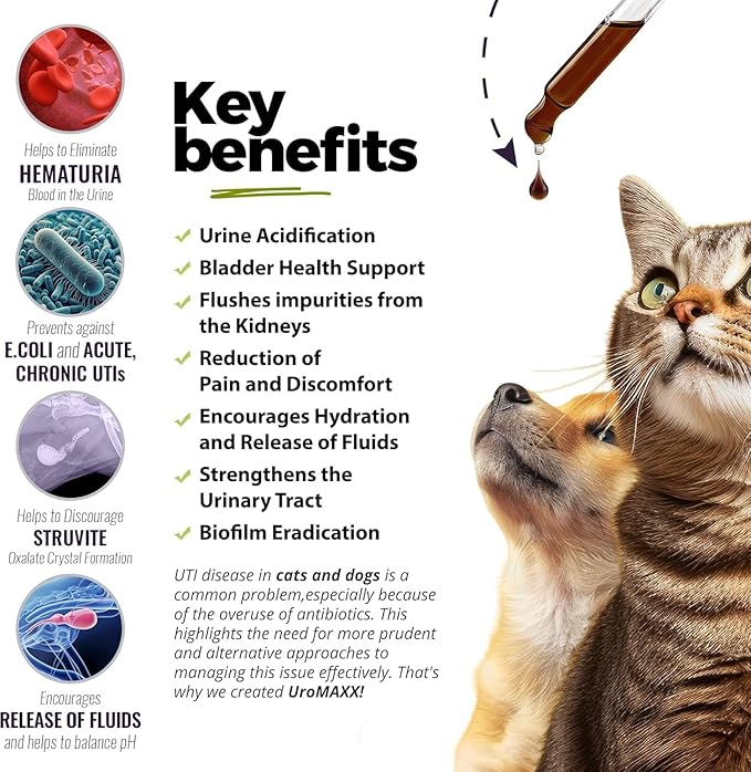 UroMAXX, Cat & Dog Urinary Tract Treatment, Bladder & Kidney Support for Dogs and Cats, Powerful Yet Gentle Pet Care, with Liquid Cranberry & Glucosamine, Salmon Flavor, 6 oz Bottle, 2 Pack