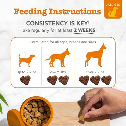 Zesty Paws Probiotics for Dogs, Digestive Enzymes Gut Flora, Digestive Health, Diarrhea & Bowel Support, DE111, Dog Probiotics Soft Chew for Pet Immune System, Chicken, 90 Ct (Pack of 2)