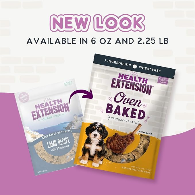 Health Extension Oven-Baked Dog Treats, Lamb Recipe – Gluten & Wheat-Free, Superfood-Infused, Crunchy Biscuits for Puppy Training (6oz)