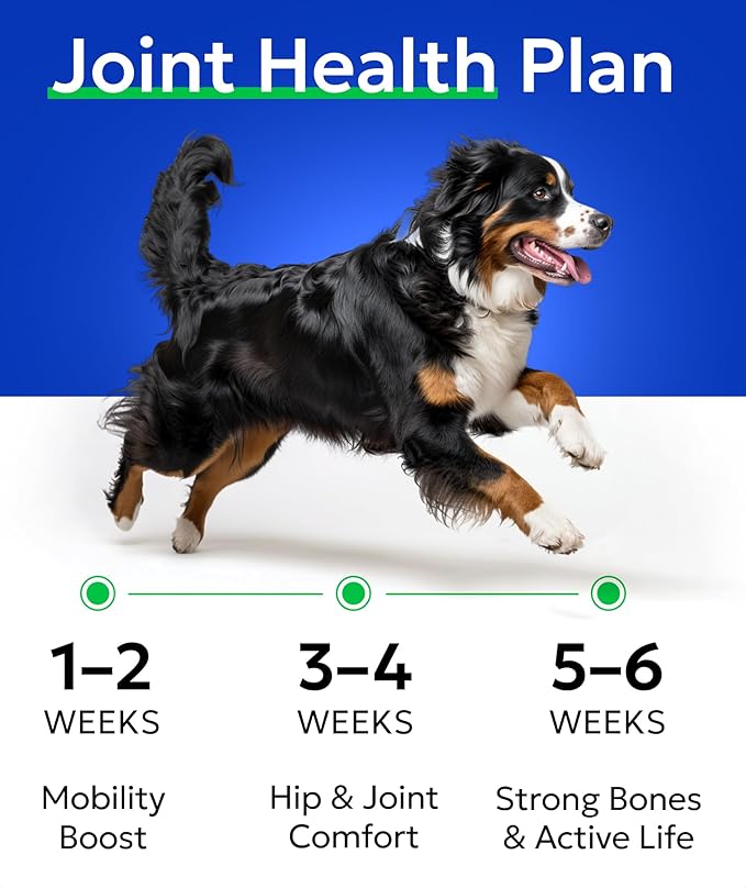 BARK&SPARK Glucosamine Chondroitin Dog Hip & Joint Supplement - Joint Pain Relief - Hip & Joint Chews - Joint Support Large Small Breed - Senior Doggie Vitamin Pill Joint Health