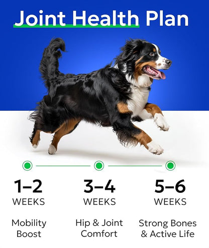 BARK&SPARK Glucosamine Chondroitin Dog Hip & Joint Supplement - Joint Pain Relief - Hip & Joint Chews - Joint Support Large Small Breed - Senior Doggie Vitamin Pill Joint Health