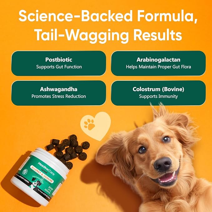 Allergies & Immune Support for Dogs | Canine Seasonal Allergy Relief & Healthy Immune System Support | Packed with Probiotics and Turmeric | 60 Soft Chews180 g (6.35 oz) | Meadowcare