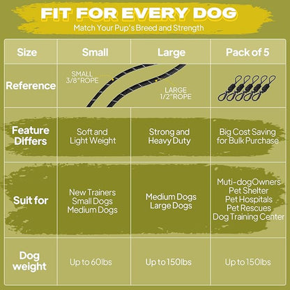 Fida Durable Slip Lead Dog Leash Bulk Pack of 5, Heavy Duty 1/2" x 6 FT Comfortable Strong Rope Slip Lead for Large, Medium & Small Dogs No Pulling Pet Training Leash with Highly Reflective (Black)