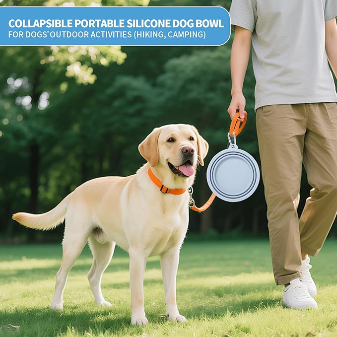 SLSON Collapsible Dog Bowl, 2Pack Macaron Color Pet Travel Bowls Silicone Foldable Water Feeder Dish for Small to Large Dogs Cat Walking Hiking Camping (Macaron Blue and Light Grey, Large)