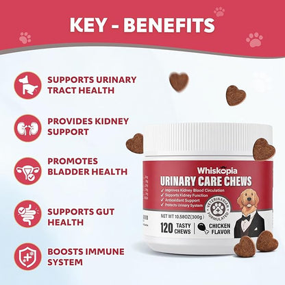 Dog UTI Treatment Cranberry Chews for Dogs Urinary Tract Supplement for Dogs and Cats with D-Mannose, Supports Canine Kidney Bladder Health Immune and Gut Support Bladder Control for Dogs- 120 Ct