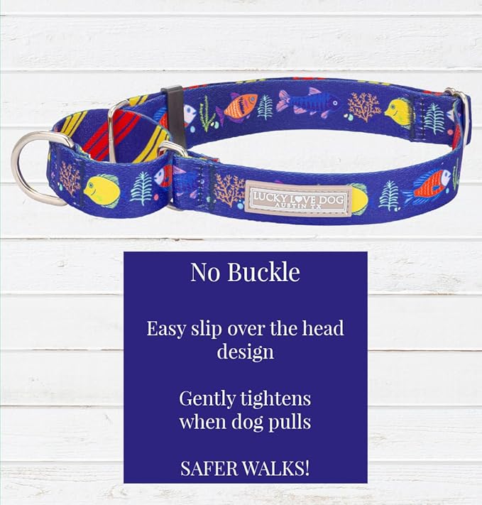 Lucky Love Dog Martingale Collar, Blue Color No Slip Collars for Large Dogs, Tropical Fish Pattern Martingale Collar, Great for Whippets, Greyhounds, and More (Mackey, Large)
