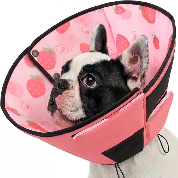 Queenmore Dog Cone, Dog Cones for Small Dogs, Adjustable Soft Cone for Dogs Recovery Collars & Cones, Comfortable Pet Cone After Surgery for Wound Healing, Strawberry S