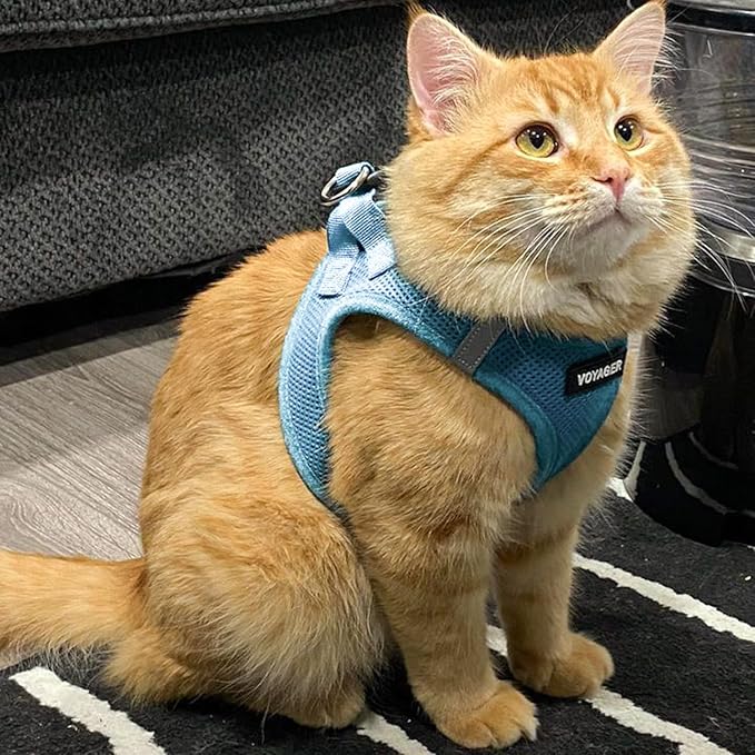 Best Pet Supplies Voyager Step-in Air Harness - All Weather Mesh, Reflective, No Pull Harness for Dogs, Cats - Secure with Hook & Loop Fastener, Buckle, Double D-Rings - Baby Blue, L
