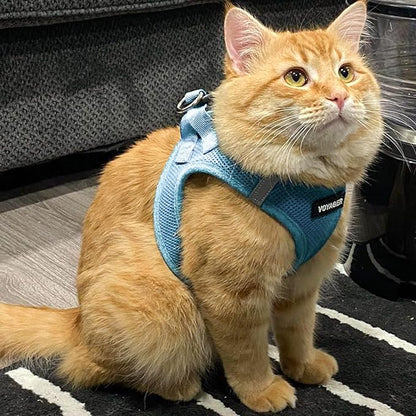Best Pet Supplies Voyager Step-in Air Harness - All Weather Mesh, Reflective, No Pull Harness for Dogs, Cats - Secure with Hook & Loop Fastener, Buckle, Double D-Rings - Baby Blue, XXS