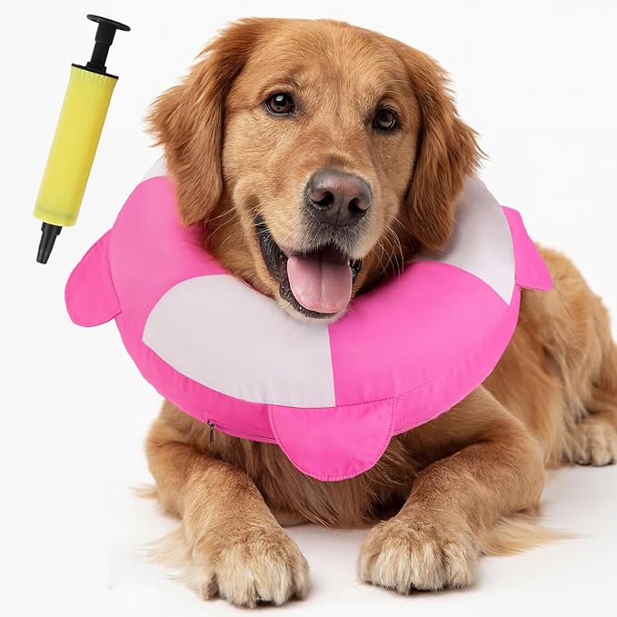 IECOii Inflatable Dog Pillow Cone Collar Alternative, Adjustable Neck Donut Cone for Dog After Surgery Prevent from Biting & Licking, Soft Blow Up Dogs Head Cone Recovery E Collar for Medium Dogs, L