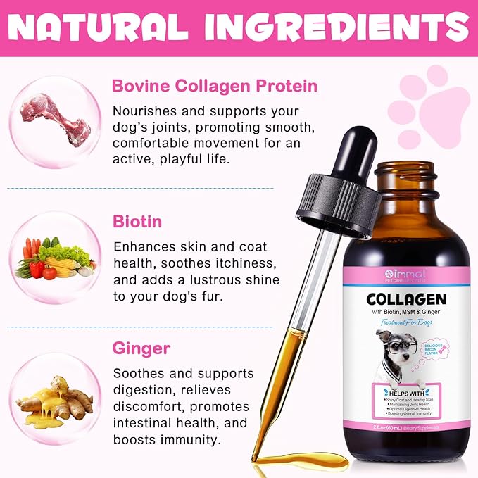 Collagen for Dogs, Dog Collagen Liquid Drops with Biotin, MSM & Ginger Digestive & Immunity Support, Itch Relief, Skin & Coat and Joint Health, Dog Supplement 60ml-2pcs