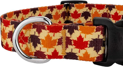 Country Brook Petz - Nature Walk Everyday Dog Collar and Leash Limited Edition - Awesome Autumn Collection Featuring Designs You Will Fall for (1 Inch, Extra Large)