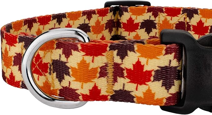 Country Brook Petz - Nature Walk Everyday Dog Collar and Leash Limited Edition - Awesome Autumn Collection Featuring Designs You Will Fall for (1 Inch, Medium)