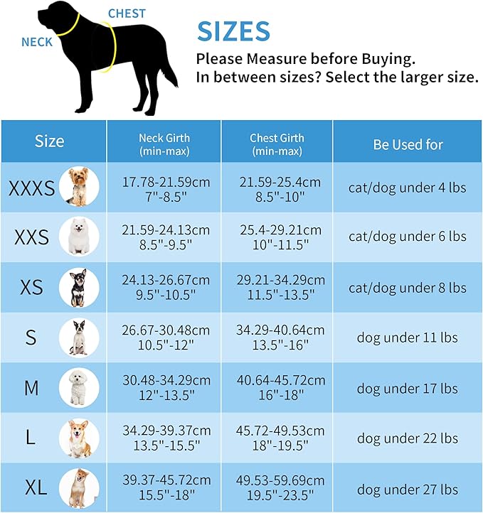 AIITLE Dog Harness, No-Pull Cat Harness with a Leash, Adjustable Reflective Dog Vest, Cat Harness Escape Proof, Outdoor Walking, Running for Extra Small Dogs and House Cats Pure Turquoise XXXS