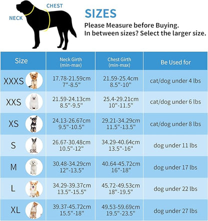 AIITLE Dog Harness, No-Pull Cat Harness with a Leash, Adjustable Reflective Dog Vest, Cat Harness Escape Proof, Outdoor Walking, Running for Extra Small Dogs and House Cats Pure Turquoise XXXS