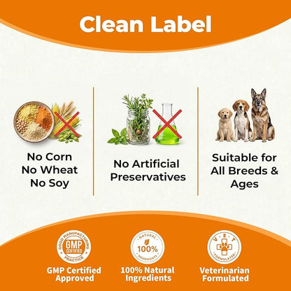 Dog Probiotics Soft Chews with 160mg Pumpkin & Papaya Enzymes – 90 Count – 4-in-1 Gut Support for Scooting Comfort, Stool Consistency & Occasional Gas – Chicken Liver Flavor