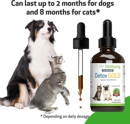 Pet Wellbeing Detox Gold for Dogs & Cats - Gentle Detoxification & Elimination Support, Immune System Care, Nettle, Blessed Thistle - Veterinarian-Formulated Herbal Supplement 4 oz (118 ml)