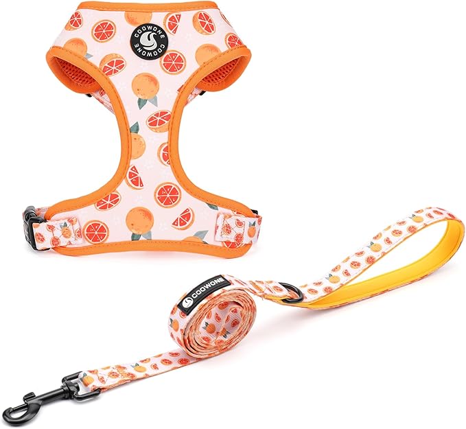 Dog Cat Harness and Leash Set, Puppia Soft Mesh Padded and Adjustable Puppy Vest Cute Dog Clothes Escape Proof Easy Walk Pet Accessories (Grapefruit, XS (Neck 9"-11"; Chest 11"-13"))