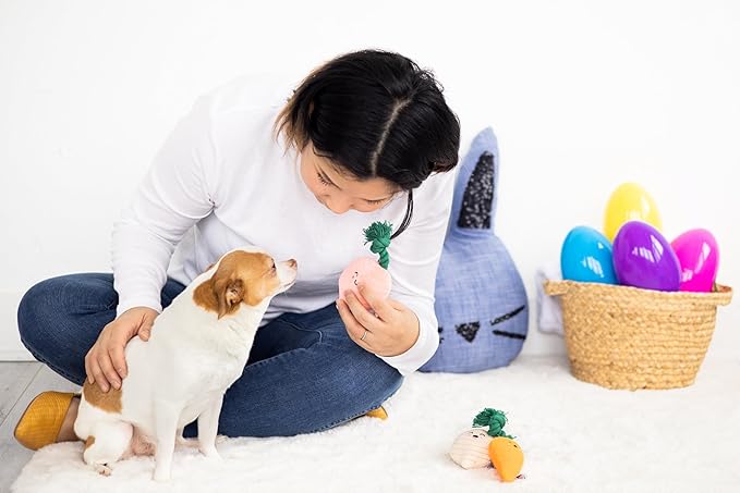 Pearhead Spring Garden Veggies Dog Toys, Plush Squeaky Rope Dog Toys, Radish Carrot & Turnip Vegetable Dog Toy Set, Loud Squeakers, Set of 3
