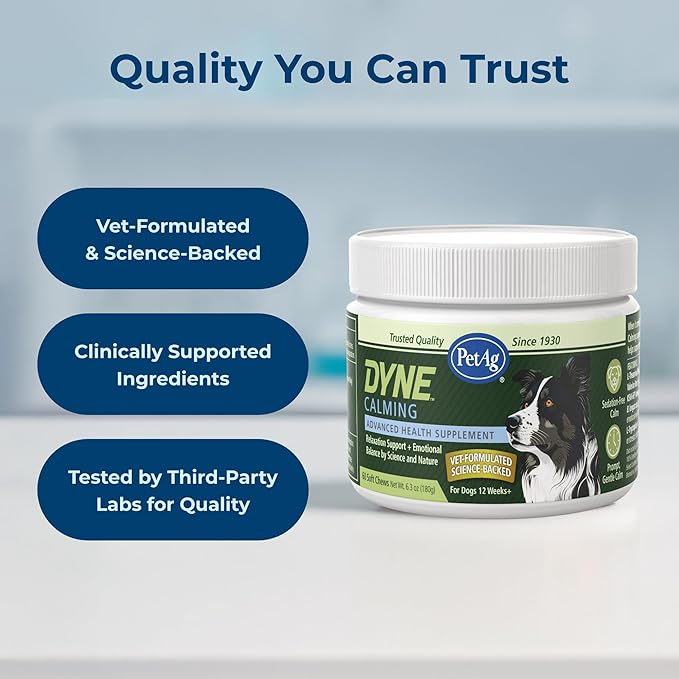 PetAg Dyne Soft Chews, Calming Supplement - Vet-Formulated for Dogs to Manage Normal Stress from Loud Noises, Travel & Separation - Non-Sedative - 60 Chicken Liver Flavor Chews