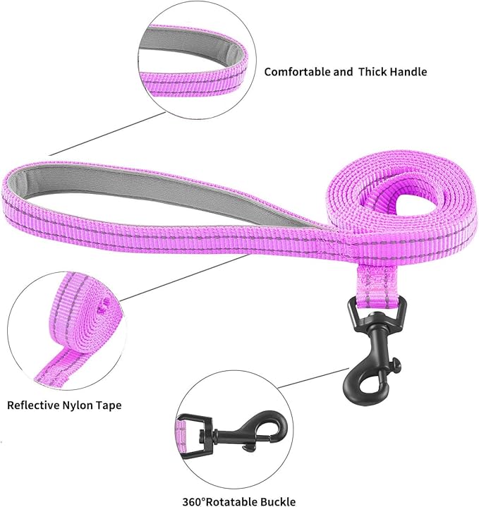 Hipubby Dog Harness and Leash Set, No Pull Soft Mesh Puppy Harness for Small Medium Dogs, Cats - Step in Reflective Breathable Lightweight Vest Harness for Walking, Training - Purple, M