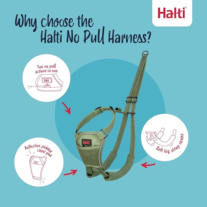 Halti No Pull Harness - Stop Your Dog Pulling on The Leash. Adjustable, Lightweight and Easy to Use. Reflective Dog Training Harness for Medium Dogs (Size M, Forest Green)
