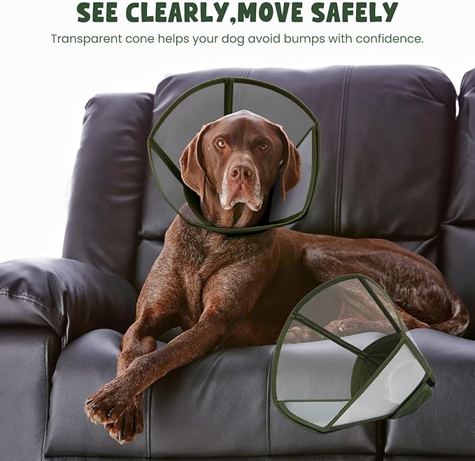 Dog Cone Collar for Dogs After Surgery,Transparent Dogs Cone Stop Licking,Foldable Dog Recovery Collars & Cones Anti-Bite Lick Protective Wound,Protective Elizabethan Collar Alternative,Green,S