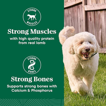 Nutro Natural Choice Senior Dog Food, Lamb & Brown Rice Recipe, 4.5 lb. Bag