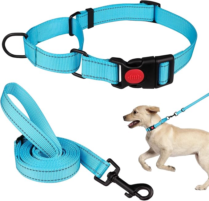 Martingale Dog Collar and Leash Set Martingale Collars for Dogs Reflective Martingale Collar for Small Medium Large Dogs(Sky Blue&M)
