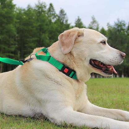 Joytale Martingale Collar for Dogs, Reflective Heavy Duty for Safety, Quick Release Buckle, Adjustable Nylon Collars for Large Dogs Walking Training, Green,L