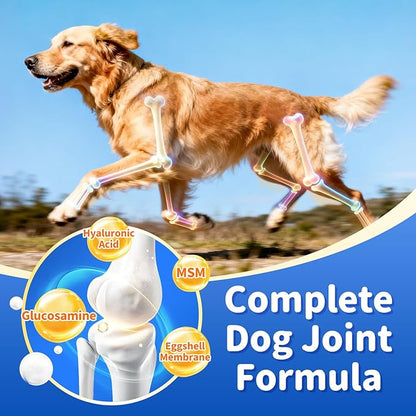 Senior Dog Liver & Joint Supplement – Same, Milk Thistle (Silybin), Glucosamine, MSM for Liver Health Detox, Mobility, Joint Pain Support, Cognitive & Vitality Support, Beef Flavor, 90Ct