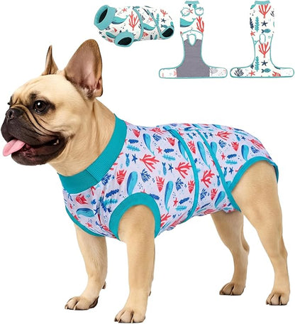 PetWarm Dog Neuter Recovery Suit Male, Recovery Suit for Dogs After Surgery, Recovery Shirt for Dog Abdominal Wounds Bandages Cone E-Collar Alternative, Underwater World Pattern, Blue, XS