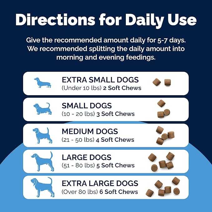 Vetnique Glandex Rapid Digestive Support for Dogs with Loose Stool | Diarrhea - Probiotics and Pumpkin for Dogs to Help Firm Dog Poop - 25 Chicken Flavored Soft Chews (25ct, Anti-Diarrhea)