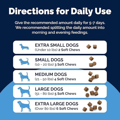 Vetnique Glandex Rapid Digestive Support for Dogs with Loose Stool | Diarrhea - Probiotics and Pumpkin for Dogs to Help Firm Dog Poop - 25 Chicken Flavored Soft Chews (25ct, Anti-Diarrhea)