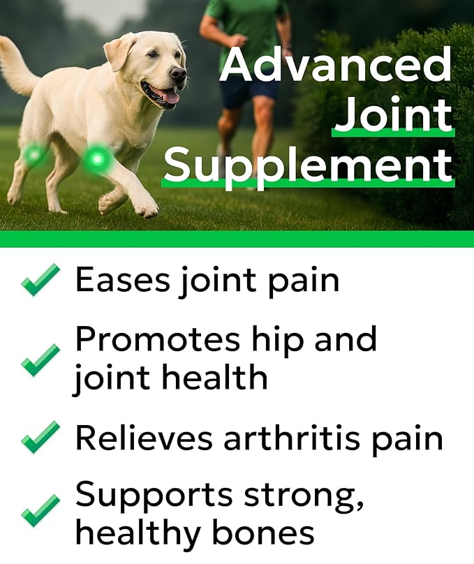 Bark&Spark Glucosamine Chondroitin Dog Hip & Joint Supplement - Joint Pain Relief - Hip & Joint Chews - Joint Support Large Small Breed - Senior Doggie Vitamin Pill Joint Health (180 Treats - Chicken)
