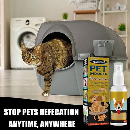 hejhncii Pet Dog Inducer Easy Potty Training Guide Pet to Pee at Fixed Spot Dog Supplies Positioning Defecation Inducer Puppy Training for Pee Pads