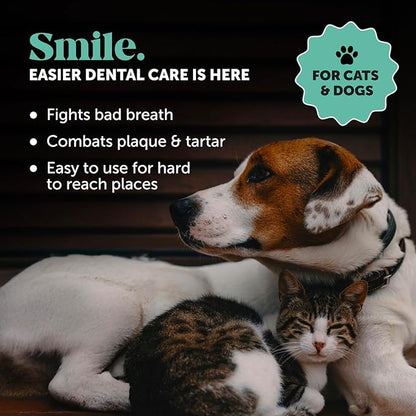 Dog Dental Finger Wipes for Teeth Cleaning Plaque Off - Dental Care for Dogs & Cats, Stain & Tartar Remover for Teeth, Finger Toothbrush Wipes, Fresh Breath & Gum Care with Zinc + Green Tea - 30 ct