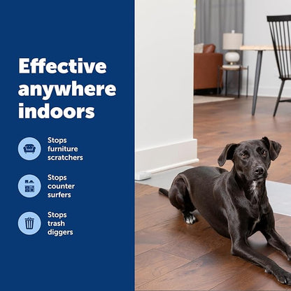 PetSafe ScatMat Indoor Training Mat
