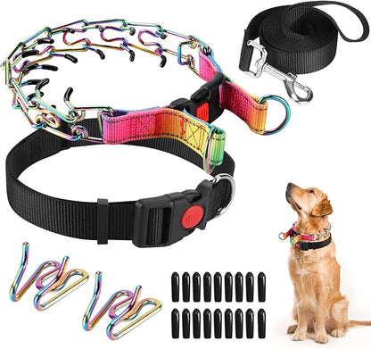 Prong Training Collar with Comfort Tips and Quick Release Snap Buckle - Classic Collar and Leash for Small to Large Dogs