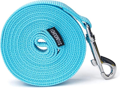 Strong Durable Nylon Dog Training Leash, 1 Inch Wide Traction Rope, 6 ft Long, for Small and Medium Dog (Mint Blue, 6 Feet)