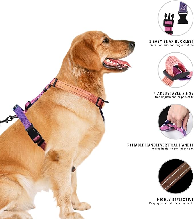 Roses&Poetry Dog Harness Large Breed, Adjustable No Pull Vest Harness and Leash Set, Reflective Puppy Harnesses with Comfort Padded Handle for Pet Training Outdoor Walking（Mistyrose-XL