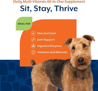 NaturVet All-in-One Dog Supplement - for Joint Support, Digestion, Skin, Coat Care – Dog Multivitamins with Minerals, Omega-3, 6, 9 – Wheat-Free Vitamins for Dogs – 240 Soft Chews