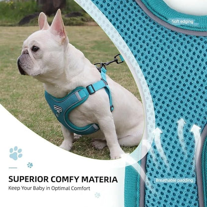 Dog Harness and Leash Set, Adjustable Triangle, Reflective Adjustable Puppy Vest, No Pull Soft Mesh Harness for Small, Medium Dogs, Cats (Turquoise, L)