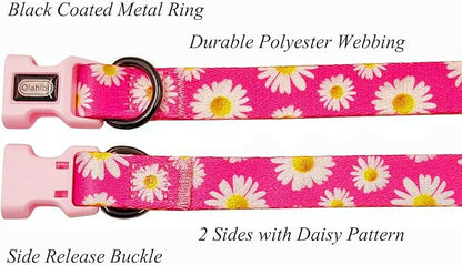 Dog Collar and Leash Set, Cute Pink Daisy Pattern, Polyester Material, 5ft Leash, for Large Dogs.(L, Daisy Set)