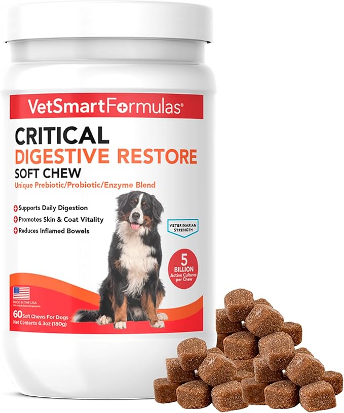 Critical Digestive Restore Soft Chews for Dogs - Veterinarian-Strength Probiotic Support for Optimal Health – with 10 Billion CFUs Per Dose