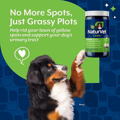 NaturVet – GrassSaver Wafers for Dogs Plus Enzymes – 300 Wafers – Healthy Supplement to Help Rid Your Lawn of Yellow Spots – Synergistic Combination of B-Complex Vitamins & Amino Acids