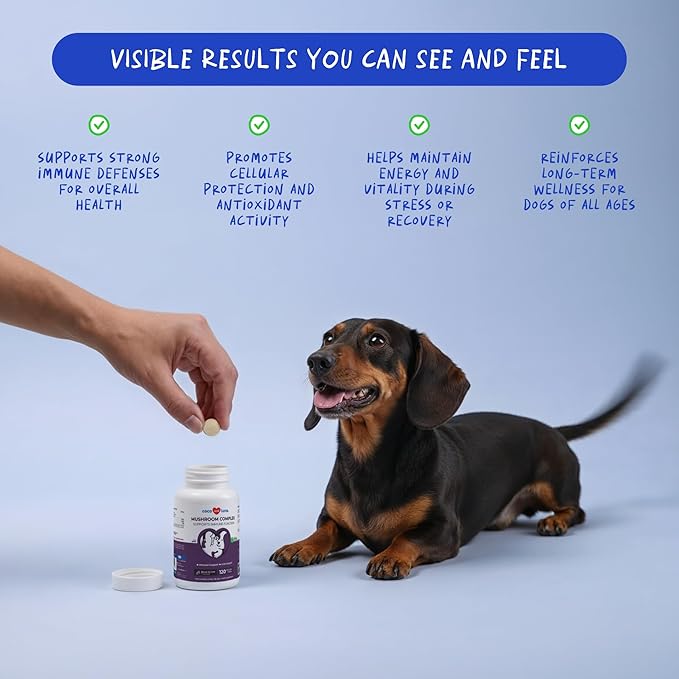 Turkey Tail Mushroom for Dogs - Mushroom Complex for Lumps and Bumps - Reishi, Cordyceps, Lion's Mane, Turkey Tail, Maitake and Shitake with Vitamin C, Milk Thistle and Coenzyme Q10.(120 Tablets)