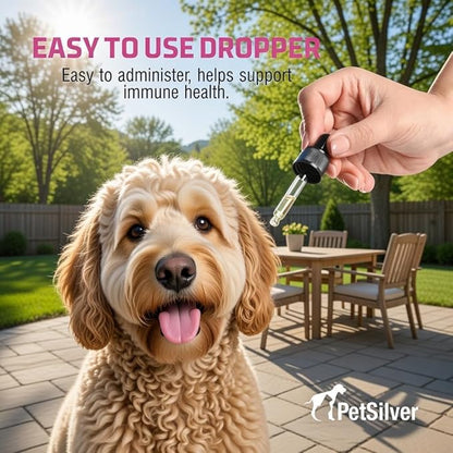 PetSilver Immune Support - Promotes Respiratory Health in Cats & Dogs, Sinus & Kennel Cough Treatment, Natural Antibiotic, Allergy Relief, Chelated Silver Formula, Easy-to-Use Dropper, USA - 2 fl oz