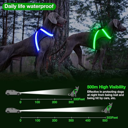 ChalkLit Light Up Dog Harness, No Pull Led Dog Harness Glow-in-The-Dark for Night Walking, USB Rechargeable Lighted Safety Vest for Small Dogs, Adjustable Soft Mesh Fully Illuminated (Green, Small)