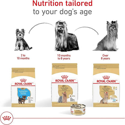 Royal Canin Breed Health Nutrition Yorkshire Terrier Adult Loaf in Sauce Dog Food, 3 oz (Pack of 24)